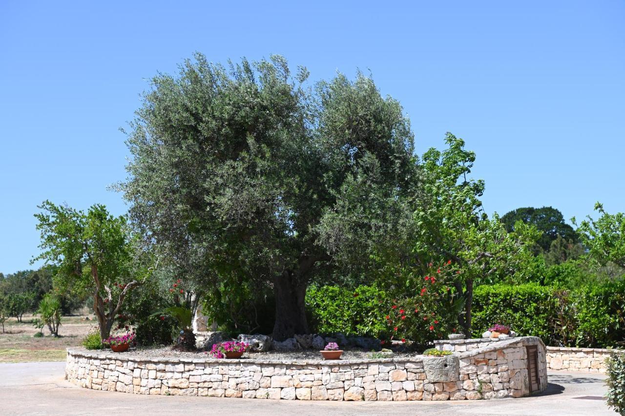 Masseria Peppeturro Cisternino Exterior photo